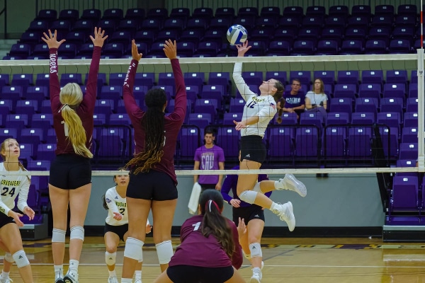 20230902-UMHB-vb-vs-Schreiner_University029