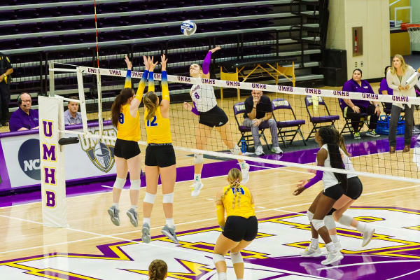 20241019-UMHB-vb-vs-LETU-045